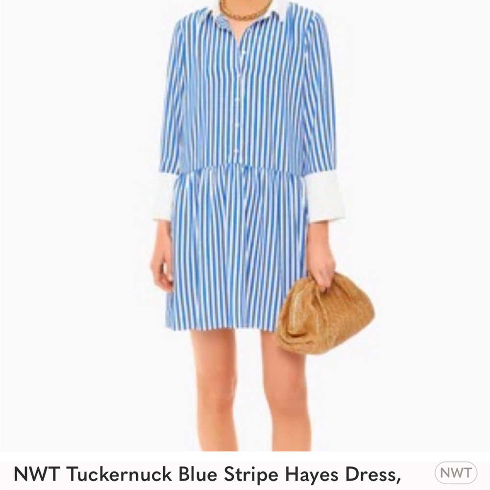 NWT Tuckernuck Blue Stripe Hayes Dress